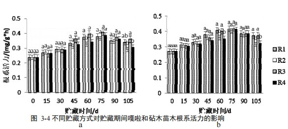 1743494478716.png 1743494478716.png